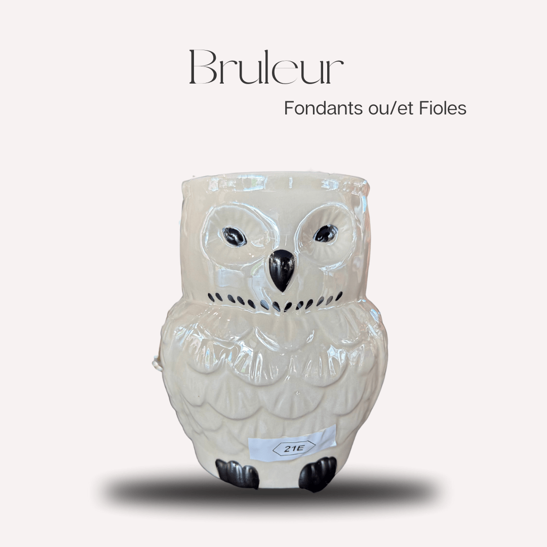 Bruleur Hibou - Scarly Shop
