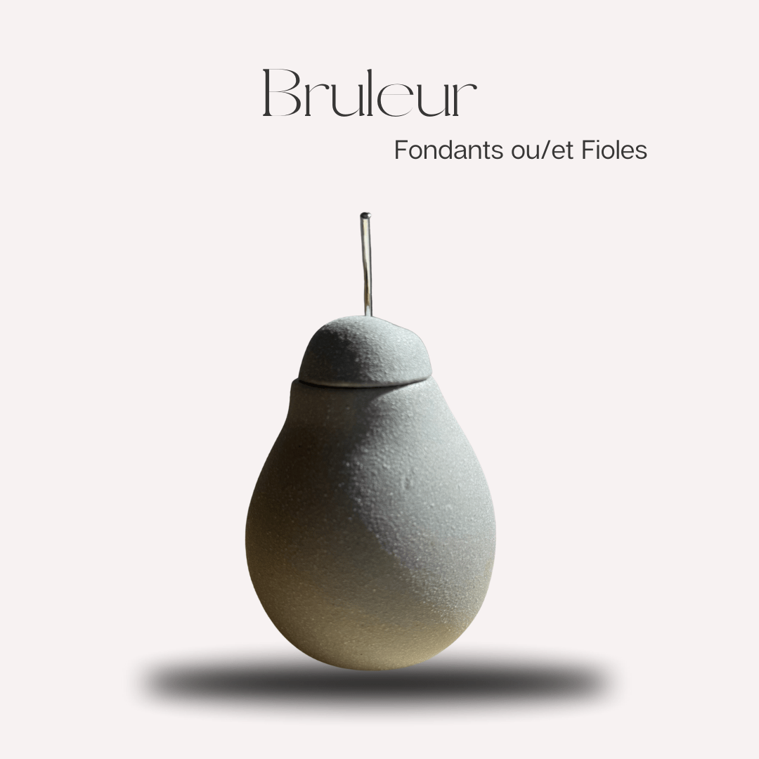 Bruleur Pomme & poire - Scarly Shop