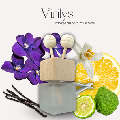 Diffuseur voiture - Virilys