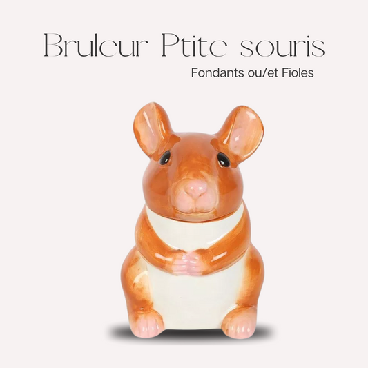 Bruleur Ptite souris