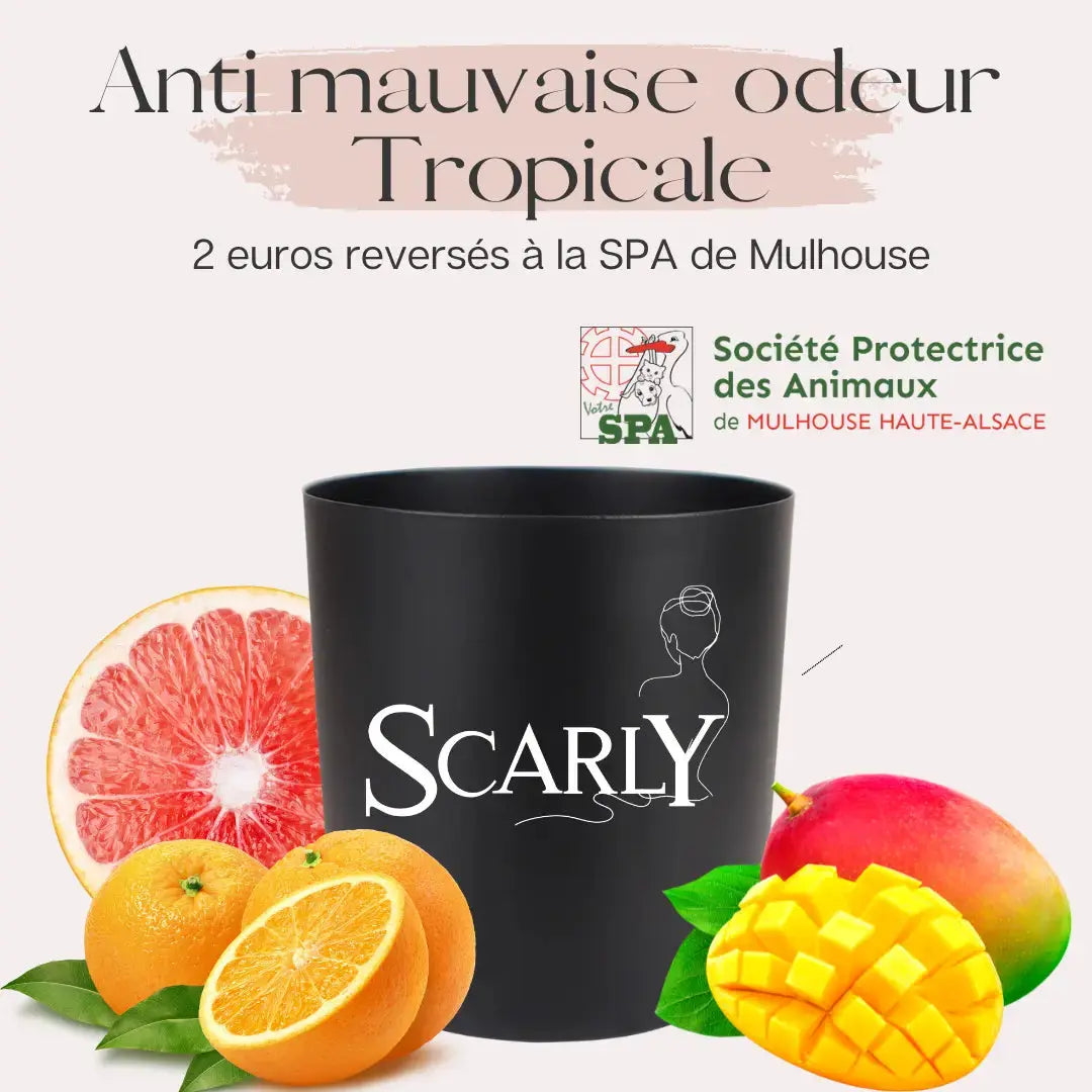 Bougie - Anti mauvaise odeur - Tropicale -  Scarly Shop