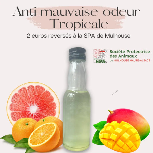 Fiole de diffusion - Anti mauvaises odeur - Tropicale Scarly Shop