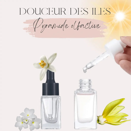 Fiole de diffusion nouveau packaging - Douceur des iles  Scarly Shop