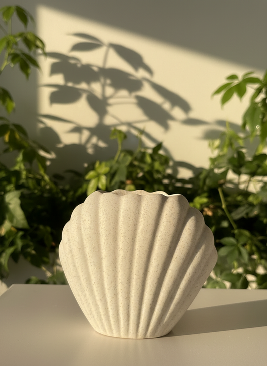 Brûleur coquillage Pierre