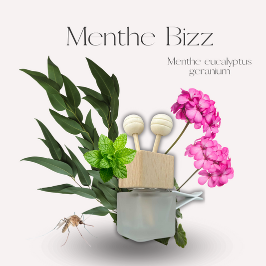 Diffuseur voiture - Menthe Bizz -  Scarly Shop