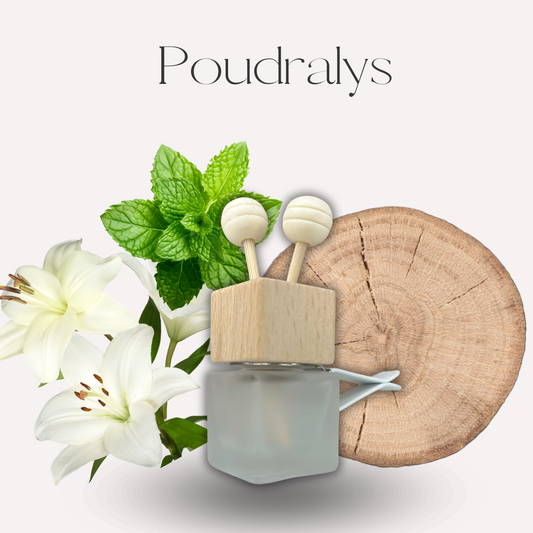 Diffuseur voiture - Poudralys -  Scarly Shop