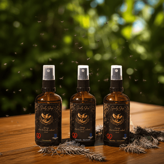 Anti insecte volant - spray d’intérieur - Scarly Shop