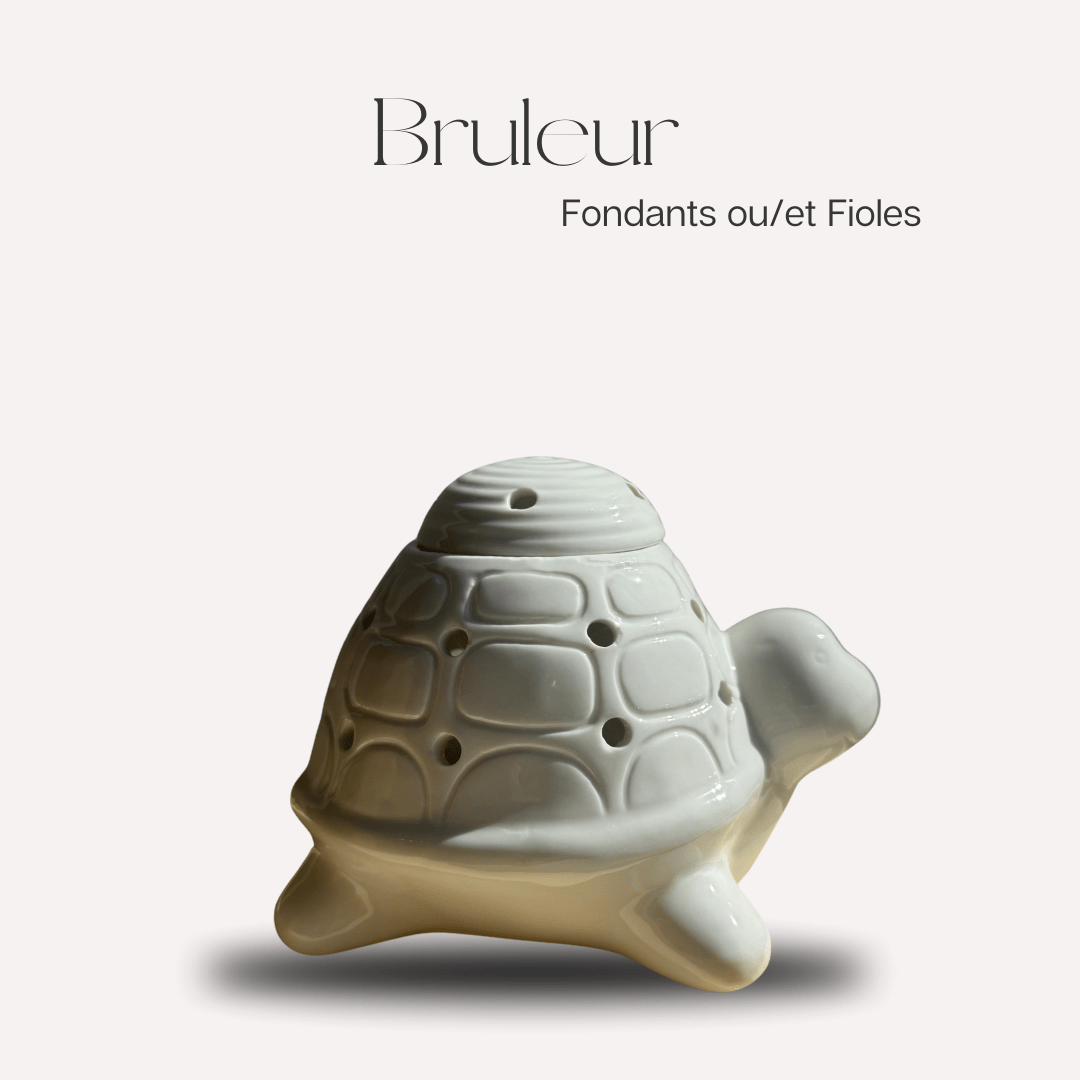 Bruleur franklin - Scarly Shop