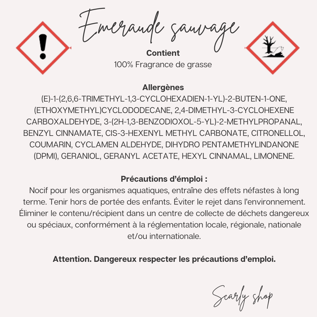 Diffuseur voiture - Emeraude Sauvage - Scarly Shop