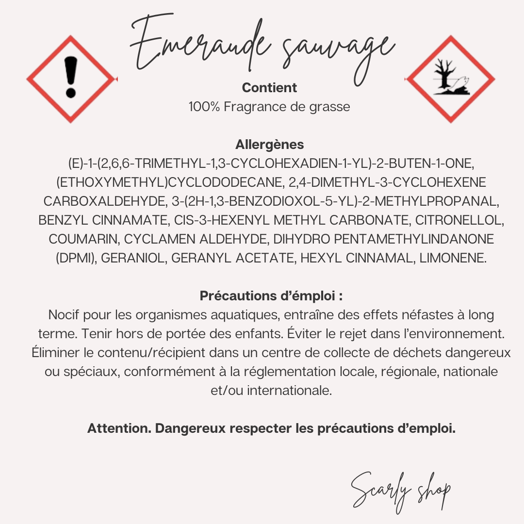 Diffuseur voiture - Emeraude Sauvage - Scarly Shop