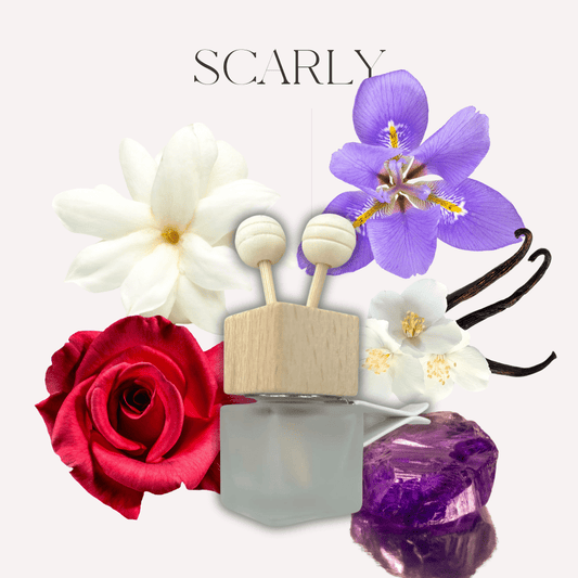 Diffuseur voiture - Scarly - Scarly Shop